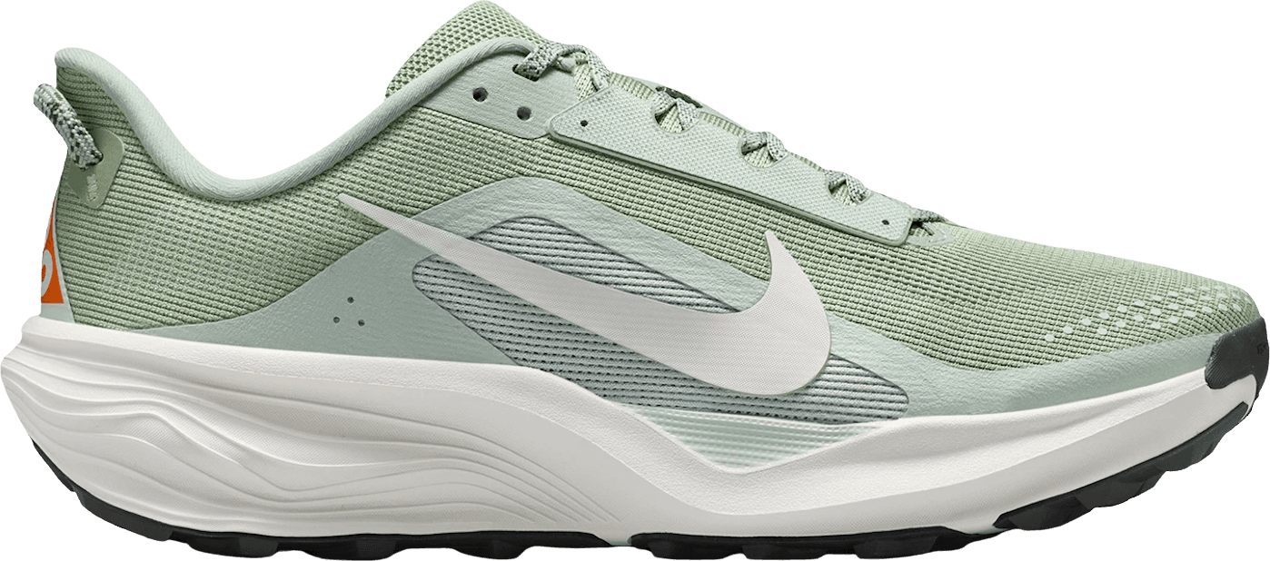 Nike ACG Pegasus Trail - Jade Horizon Light Silver