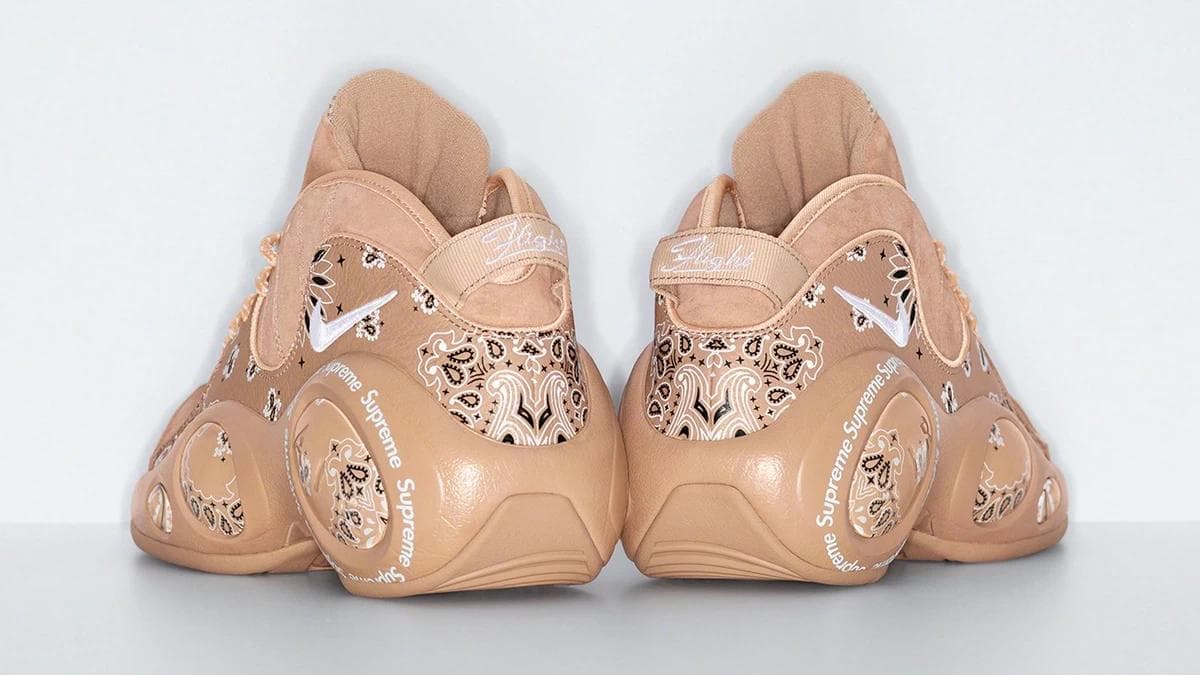 Supreme x Nike: Zoom Air Flight 95.